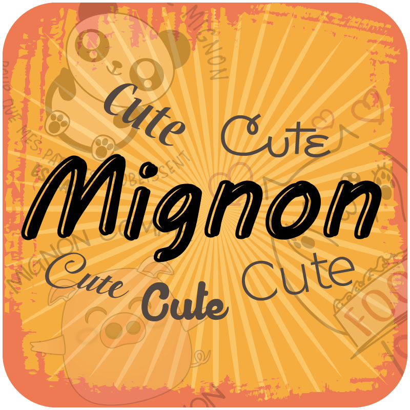 catégorie Mignon bodies et tshirts ptit rebelle